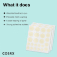 Cosrx Acne Pimple Master Patch – Hydrocolloid Spot Treatment for Acne